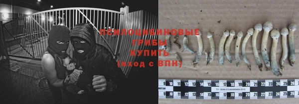 дживик Балабаново