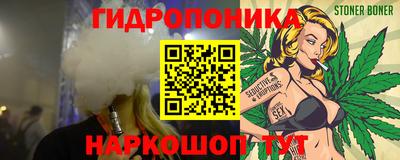 индика Жуковский