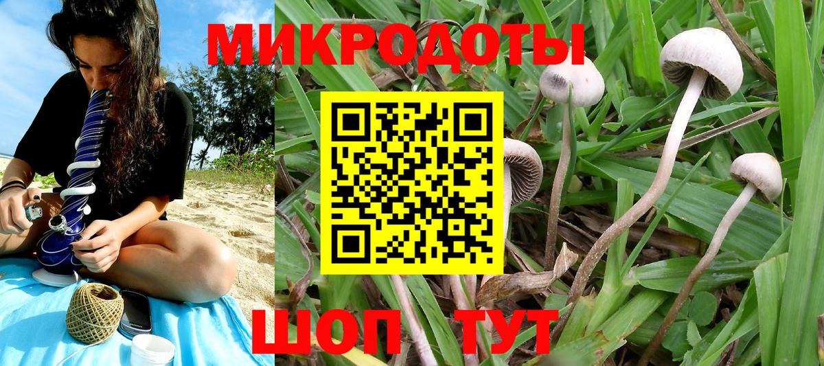 Галлюциногенные грибы мицелий Реутов