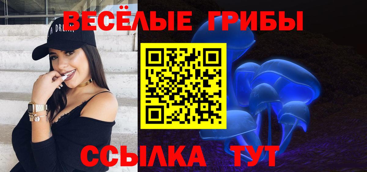 сколько стоит  Галлюциногенные грибы GOLDEN TEACHER  Вход с VPN  Псилоцибиновые грибы Psilocybine cubensis  Реутов 